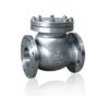 Cast Steel Swing Check...