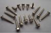 Stainless steel Self-tapping screws &amp; self-drilling screws