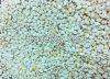 Natural Whitish Sesame...