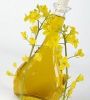 Crude Degummed Rapeseed Oil