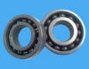 Ceramic bearing