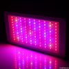 300w(100x3w) LED Grow Light for  For Commercial Grow Greenhouse Projec