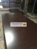 Brown tego film faced plywood