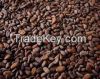 Sun Dry Cocoa Beans