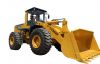 Loaders LT956F 