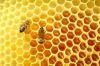 Natural Honey juice,li...