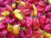 100% FRESH YELLOW, RED...