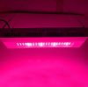 2014 The hot sale high power full spectrum 300w led grow light 