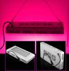 2014 The hot sale high power full spectrum 300w led grow light 