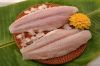 Pangasius Fillet 005