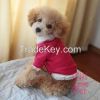 2014 New autumn and winter breathable sweater pet clothes apparel suitable for teddy