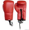 Boxing Gloves | Boxing Gloves