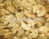 Walnut kernel export to Russia, Japan with high quality