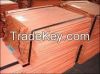 Copper Cathode