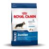 royal canin maxi adult