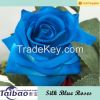 Vevlet silk rose flowe...