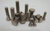 Titanium Screws/Bolts/Nuts/Washers(GR1, GR2, GR5, GR7, GR12)