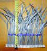 Stripped Goose Biots Feather  Fringe from China