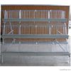broiler Chicken Cage