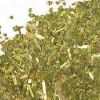 Rolling herbs factory supply Indian Golden taro leaves Golden Australia approved herb best price Alternative bulk Herbal blends