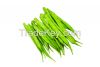 Cluster Beans 