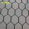 poultry wire netting/poultry netting fence/poultry nethexagonal wire mesh