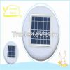 Environmental Protection Pool Purifier with Solar Panel