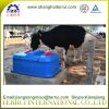 Thermo Two-Hole Waterer