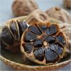 90 days fermentation black garlic buy direct from creekbay 