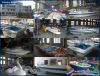 pedal boats, water bikes for sale