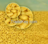 Rock Grinding Plant