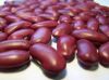 New crop Red Kidney Bean