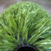 Thiolon Artificial Grass for sports:soccer, football, rugby-50 Green