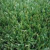 Thiolon Artificial Grass for sports:soccer, football, rugby 2 color