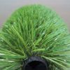 Thiolon Artificial Grass for sports:soccer, football, rugby Stalk-type