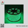 Hot sale 220V, 60led/m SMD5050 LED rope light of China supplier