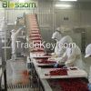 Export frozen fruit frozen strawberry IQF strawberry