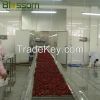 Export frozen fruit fr...