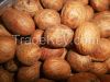 Quincy seed/Garcinia K...