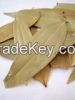 Bay Leaves