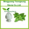 Pure Natural plant extract stevia powder