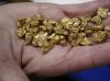 Gold Nuggets