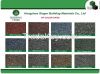 2015 New Cheaper Asphalt Roofing Shingle For Roof System