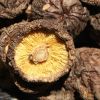export dried shiitake mushrooms,dried brown and smooth mushrooms