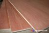 Melamine plywood from Vietnam