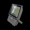 100W Floodlight