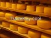Mozzarella Cheese-Edam...