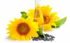 Sunflower Oil