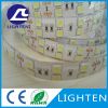 12V 24V 5050 LED Strip Light