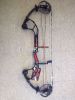 hunting compound bow D...